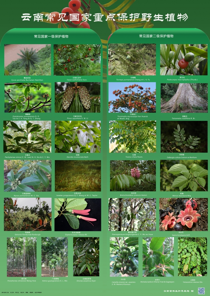 以案普法：风险国度沉点；ぶ参镒